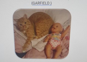 Garfield 250427-205131